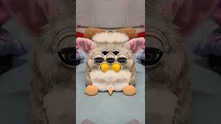 weird furbies [upl. by Accber]