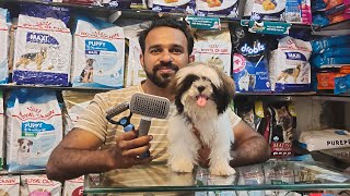 how to remove matted hairs from shihtzu dog  matted hairs from dog  tangles from hair [upl. by Neirual]