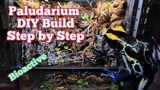 How To Build A Paludarium DIY In Depth Tutorial paludarium bioactive [upl. by Jenifer222]