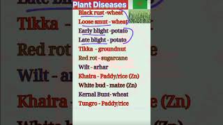 Plant Diseases shortsfeed ytshorts [upl. by Winter139]