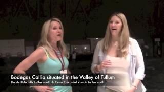 Bodegas Callia in San JuanArgentina The Wine Ladies TV March 2013 [upl. by Nirek]