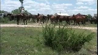 A Day in the Life of a West Texas Cowboy [upl. by Anitsahs356]