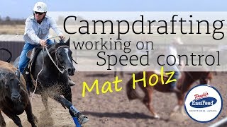 How to work on speed control in campdrafting [upl. by Pence450]