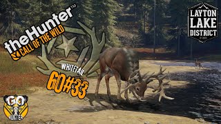 WhiteTail Deer GO33  TheHunter Call Of The Wild  Layton Lake [upl. by Arabelle276]