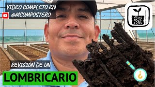 Revisión de lombricario para producción de lixiviado de lombricomposta Agroproductos las Cumbres [upl. by Adym148]