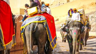 Rajasthan the Land of the Kings  Full Documentary [upl. by Specht797]