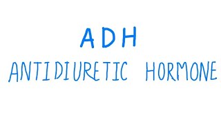 Antidiuretic Hormone  ADH Hindi  Its physiology and how it works ADH antidiuretichormone hindi [upl. by Koziara959]