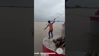 Catching Floating Logs with Spears  facts skill survival fishing amazing interestingfacts [upl. by Anaujait]