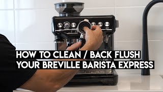 How To Clean Backflush Your Breville Barista Express [upl. by Vachil]