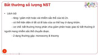 NT 2024 DT Bệnh NTS [upl. by Idna]