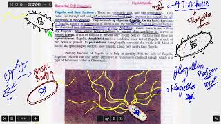 Flagella and Types of bacteria Base on flagella [upl. by Jacquet842]