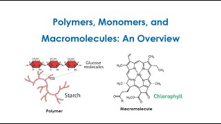 Principles of Polymer Chemistry Monomers Polymers And Macromolecules An Overview Lect 1 [upl. by Elimac311]