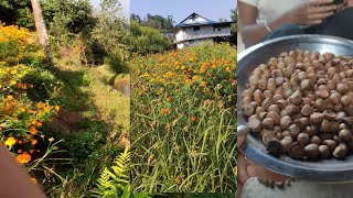 ma janmeko ghar khotang parung ma aauda dherei ramailo lagxa malai hernus k k gare maile 🙏🙏 [upl. by Matelda]