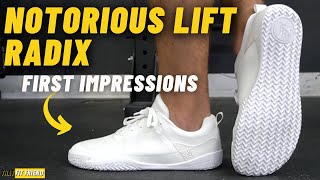 NOTORIOUS LIFT RADIX  First Impressions amp 1HUND Aerolux Comparison [upl. by Winou]