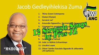 President Jacob Zuma Singing Struggle Songs Compilation w Lyrics amp Translations 1080p [upl. by Tiga]