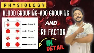 abo blood group physiology  rh antigen physiology  Erythroblastosis fetalis  physiology [upl. by Yenatirb]