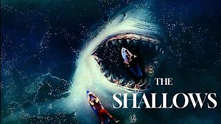 The Shallows 2016 Movie Explained In Hindi  Best Survival Movie movieexplainedinhindi [upl. by Assiron]