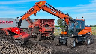 Aardappelen opladen met Doosan DX 160 W door Behling uit Onstwedde 4K [upl. by Zel]