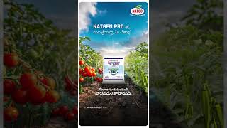 Protect Your Crops with NATGEN PRO Advanced CTPR Granules [upl. by Syverson228]