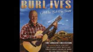 Burl Ives  Funny Way Of Laughing [upl. by Ecirehs]