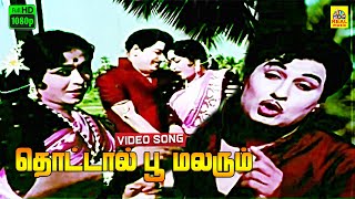 Thottaal Poo MalarumVideo Song  Padagotti  MGR  Saroja Devi  Suseela  Full HD  Digital [upl. by Helali]