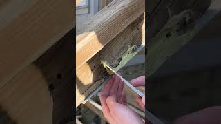 Quick Repair for Exterior Wood Rot 🪵 Bondo Wood Filler [upl. by Ased]