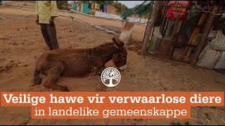 Veilige hawe vir verwaarlose diere in landelike gemeenskappe [upl. by Imogene838]