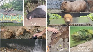 Lost World Of Tambun IpohPetting ZooVariety of animals from petting to wilddeercrocodiletapir [upl. by Wit49]