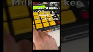 MilkyTracker  MPC1000 akai mpc1000 sampler 2024 amiga boombap beats 1200 500 midi [upl. by Bonis]