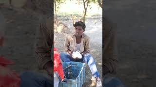 Angrej Babu ka khargosh  funny imotional viralvideo comedy [upl. by Limaa993]