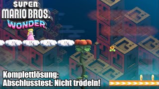 Abschlusstest Nicht trödeln Guide für Super Mario Bros Wonder [upl. by Barbey138]