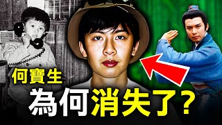 由木屋區頑皮小孩 到90年代TVB富貴小生 離奇消失後竟出現盜竊案中？｜何寶生｜原子檔案 [upl. by Hildegaard]