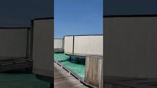 Overwater Villas Jetty The RitzCarlton Maldives Fari Islands June 2024 RitzCarltonMaldives [upl. by Libby]