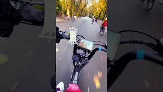 vondelpark amsterdamvibes bikelife chillvibes [upl. by Bronny682]