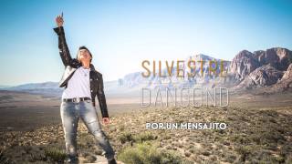 Por Un Mensajito Silvestre Dangond  Letra Oficial [upl. by Lilithe]