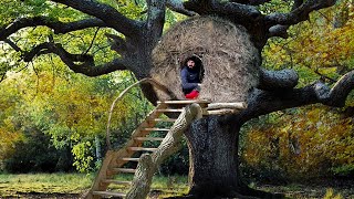 Building a Hay Shelter on a Tree [upl. by Bernette]