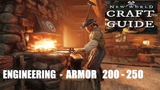 New World CRAFT ENGINEERING e ARMOR 200250 Level Guide FAST [upl. by Nastassia986]