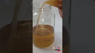 Make kombucha with different teas and sweeteners stem lifescience chemistry biology scoby [upl. by Nnaycart]