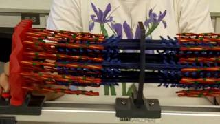 Sliding Filament Sarcomere [upl. by Goraud]