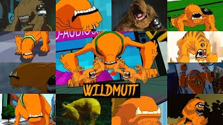 All wildmutt transformations in all Ben 10 series [upl. by Laon10]