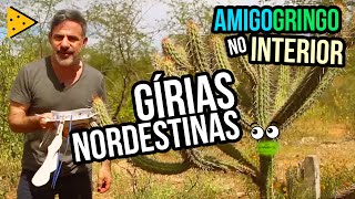 GÍRIAS E EXPRESSÕES NORDESTINAS  AMIGO GRINGO NO INTERIOR 4 [upl. by Novaj269]