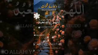 DUA E Qunoot islamic short youtubeshorts trending viralvideo [upl. by Milt774]