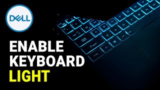 How to Enable Keyboard Light on Dell Laptop Windows 10 [upl. by Kobi]