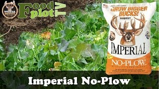 Whitetail Institute No Plow Food Plots [upl. by Ambrosio]