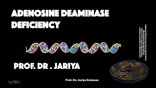 ADENOSINE DEAMINASE ADA  DEFICIENCY ENGLISH VERSION [upl. by Harned]