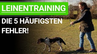 🐶 Vermeide diese 5 häufigsten Fehler beim Hunde Leinentraining ➡️ Praxisvideo 🐶✔️ [upl. by Hamrnand]