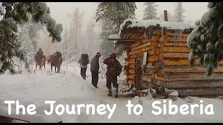 The Journey to Siberia  Bushcraft in Siberia  Wild cedar forests  Bears and Chipmunks [upl. by Easton523]