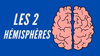 Les 2 Hémisphères du Cerveau  Neuroscience Pour Tous [upl. by Nylg]