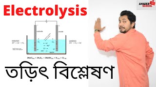 Electrolysis  SSC Chemistry  তড়িতবিশ্লেষণ  Fahad Sir [upl. by Aneres875]