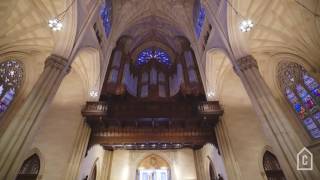 Saint Patricks Cathedral  Curbed Tours [upl. by Sheply]